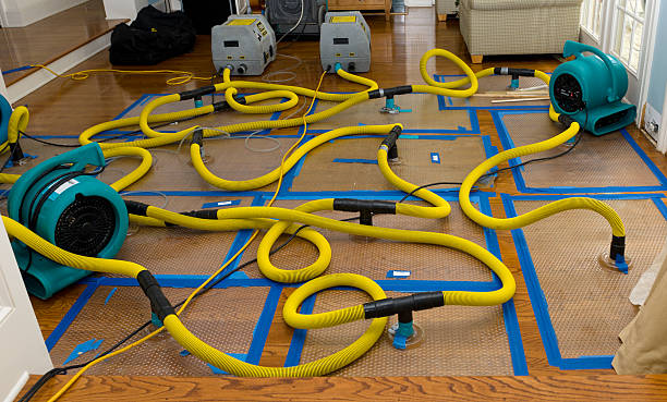 Professional Basement Flood Cleanup technician working in East Brookfield, MA